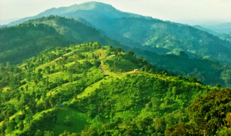 Life Between Nets and Saltwater