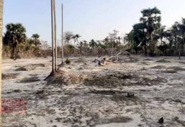 Bangladesh's agriculture, food security