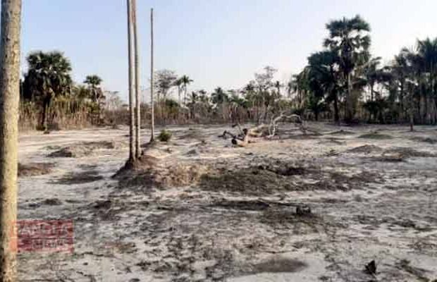 Bangladesh's agriculture, food security