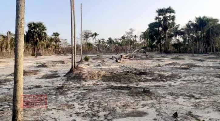 Climate change poses threat to Bangladesh’s agriculture, food security