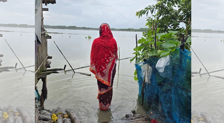 Snails-Shaluk lost to saline water, Munda livelihoods in peril