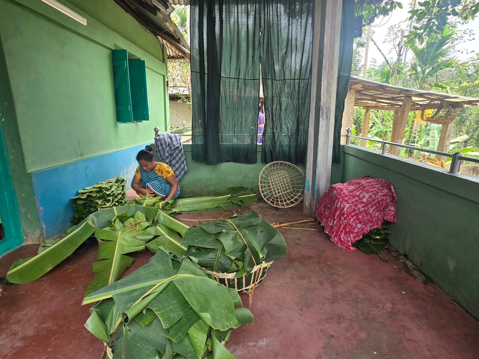 Khasi Women’s Betel Leaf Economy Hit by Changing Rainfall Patterns